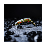Tumbling Banana Rattling (Rasseln) Bachforelle