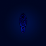 Probiats Wenom 2,5g Lusent Cooper