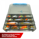 Fangenswert T-Box