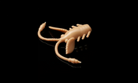 Libra Lures Pro Nymph 18mm 035
