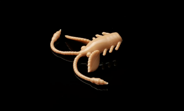 Libra Lures Pro Nymph 18mm 035