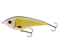 Westin Slim Glidebaits Official Roach