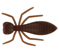 Westin Termite Braun