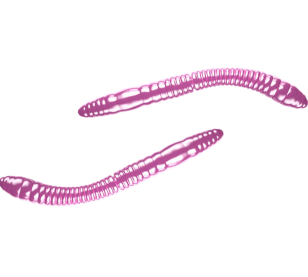 Libra Lures Fatty D´Worm Tournament 55mm Käse #18