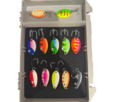 Fidusen Box 1 mit Sonderfarben