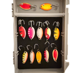 Fidusen Box 2 mit Sonderfarben
